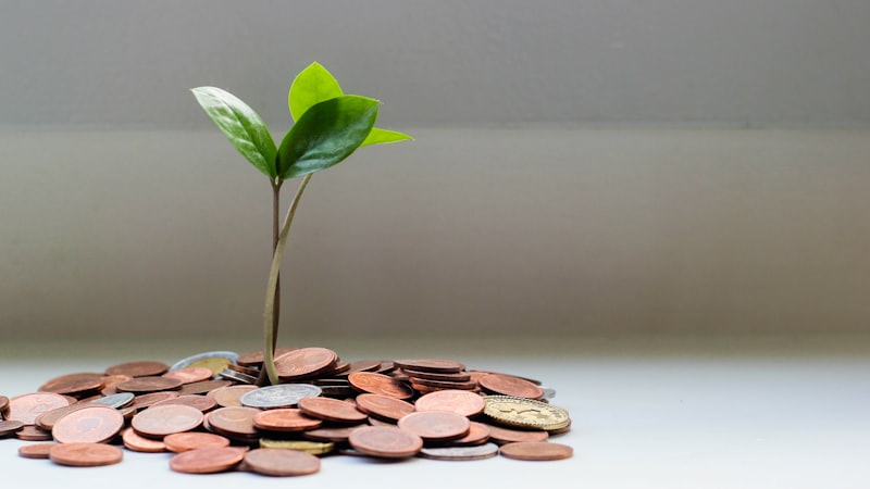 Coins stacked beside a growing plant, representing SIP investment growth toward ₹1 crore
