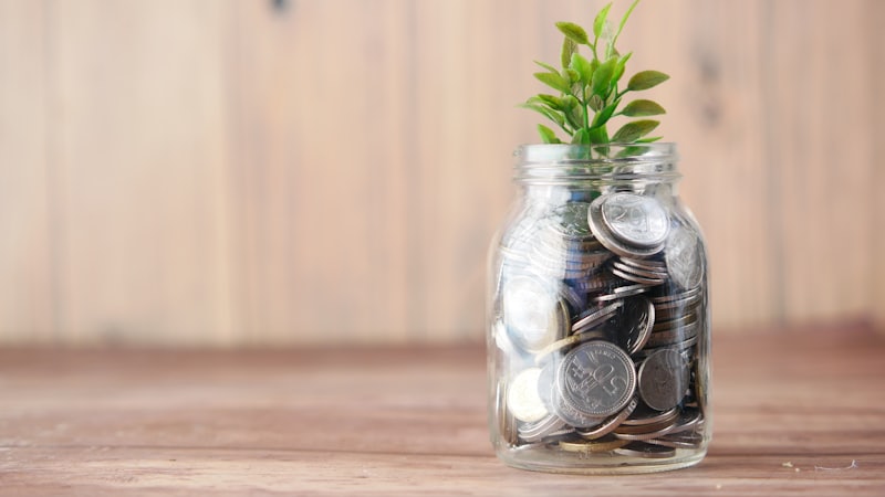 Coins and a growing plant in a jar representing PPF and ELSS tax-saving investments